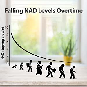 falling nad levels over time nmn nicotinamide mononucleotide booster